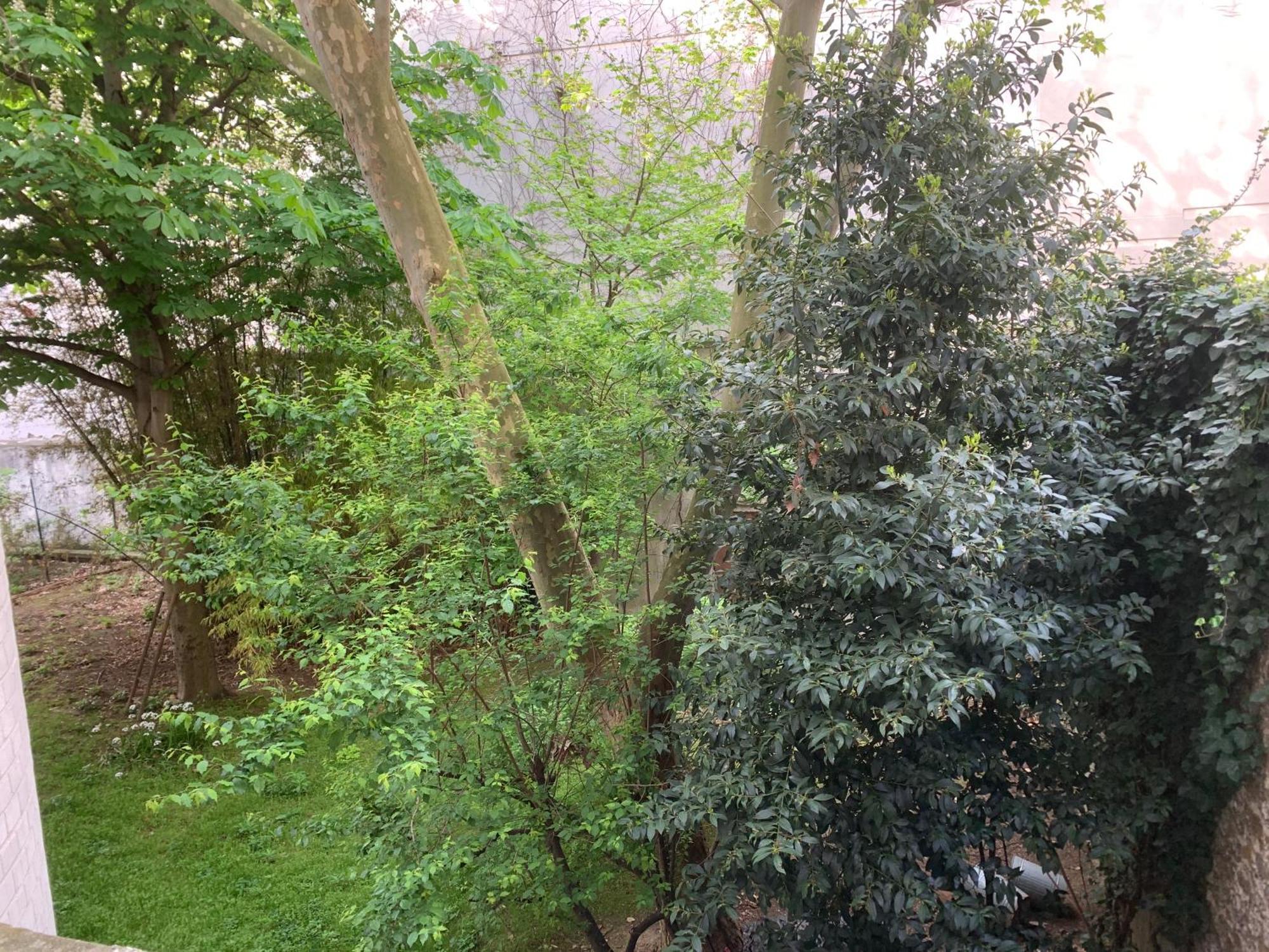 Charmant Studio Pere Lachaise Paris Ngoại thất bức ảnh